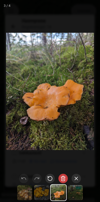 Statistikk i Artsjakt